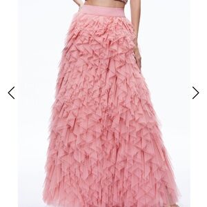 Alice + Olivia Set (skirt and top)